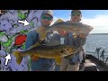 The BEST Way To Target Summer Transition Walleyes!