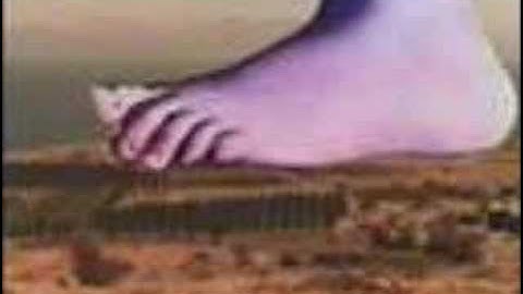 Eric Idle Sings Monty Python--Part 2