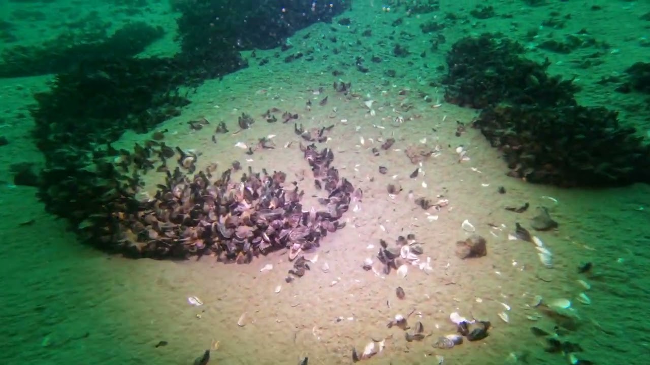 Lake Hydra Video GX010025