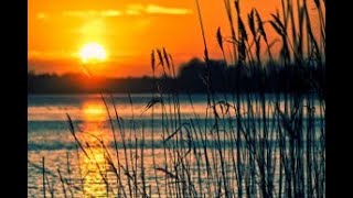 Echoes of Mindfulness Soothing Melodies to Ease Stress and Anxiety