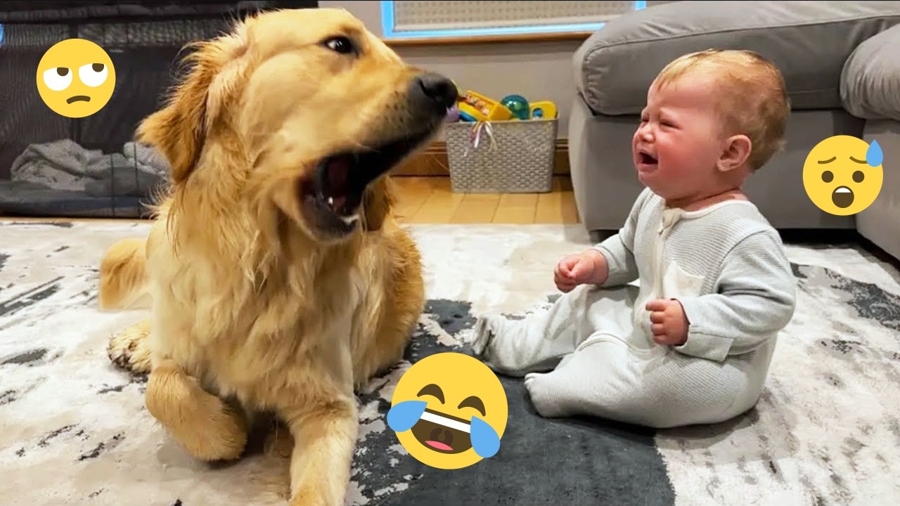 You Can’t Stop Laughing At These Dogs 🤣 FUNNIEST DOGS Video 2026 #49 ...