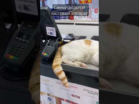 Случай на кассе