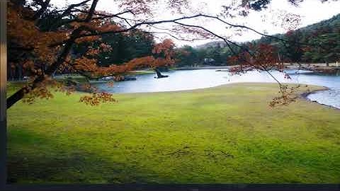 2020 القران الكريم تلاوة عطرة لاتوصف بقمة الجمال رقق قلبك وعطر مسامعك