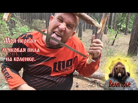 Моя первая в