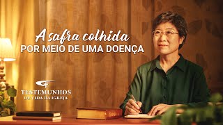 Testemunho da Vida da Igreja "A safra colhida por meio de uma doença"