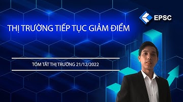 EPSC Tóm Tắt Thị Trường 21/12/2022: Thị trường chứng khoán giảm điểm