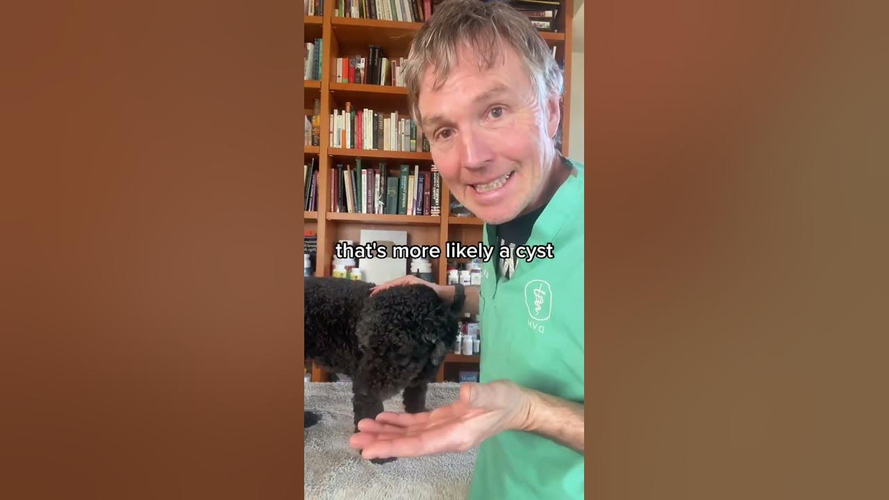 How you can tell if your dog has cancer youtube