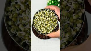 Healthy Protein-Packed Sprouts Cheese Chilla 🌱🧀💪 #shorts #recipe #healthy