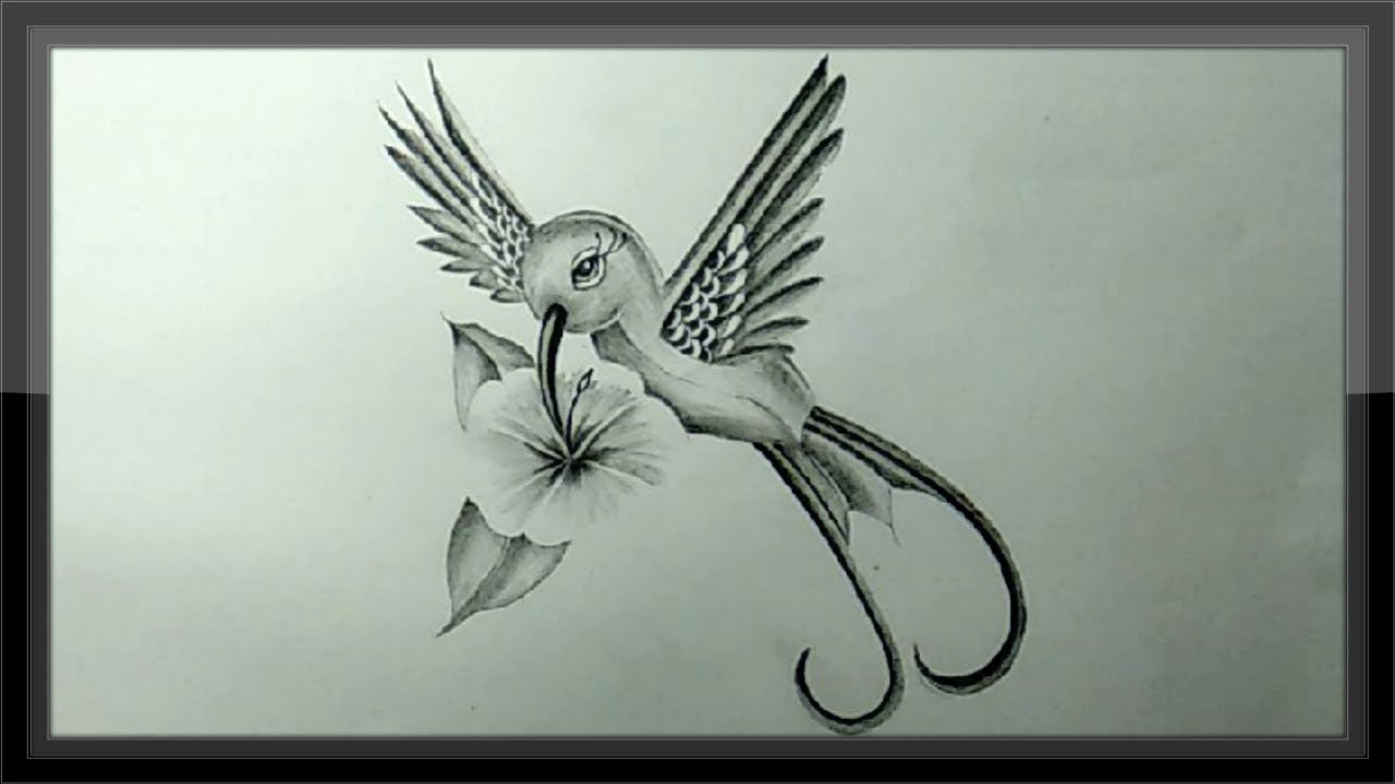 Pencil Drawing How To Draw A Bird For Kids Step By Step Easy