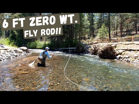 TINY CREEK Fly Fishing with a 6 FT - ZERO-weight Fly Rod!! Small creek DRY FLY  fishing adventure!! 