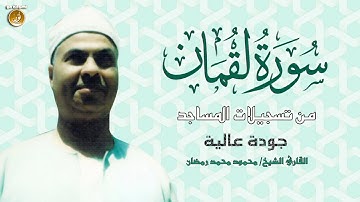 الشيخ محمود محمد رمضان سورة لقمان