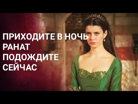 Дервиш-паша дал мне фитну, ты видишь?
