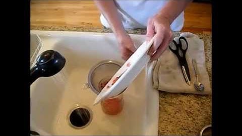 Seed Saving Series: How to Save Watermelon Seeds