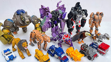TRANSFORMERS 7 Rise of the Beasts MAXIMALS Transformation Robot Animal Toys