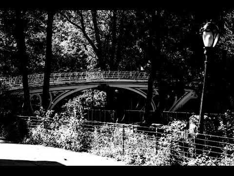 Фото сада черно белые