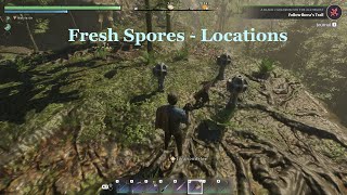 Enshrouded - Fresh Spores Redux