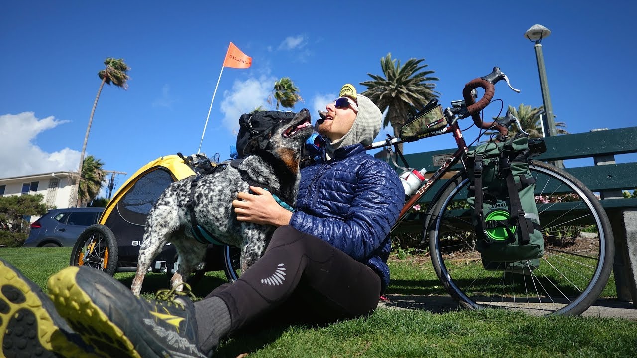 My Dog Runs A HALF MARATHON Everyday YouTube