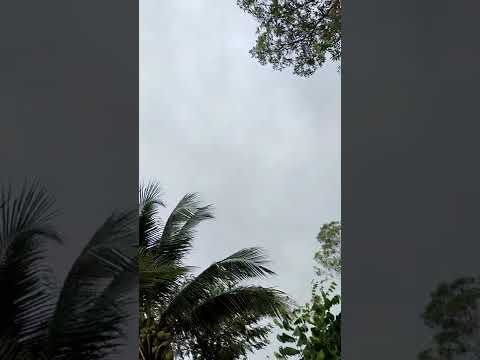 จับตาพายุไต้ฝุ่นโนรู-Noru-Typhoon-5-9:39---free-video-footage