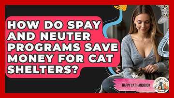 How Do Spay And Neuter Programs Save Money For Cat Shelters? - Happy Cat Handbook