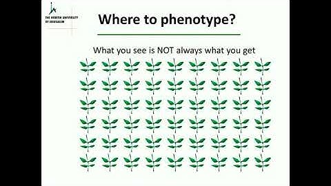 Identifying Plant Drought Response 2015