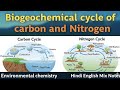 Biogeochemical Cycles | Carbon &amp; Nitrogen Cycle Explained in Easy Language