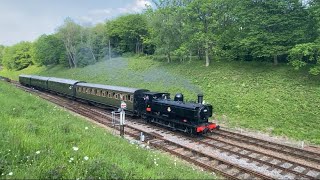 Bluebell Railway Branch Line Gala Weekend  11/05/24