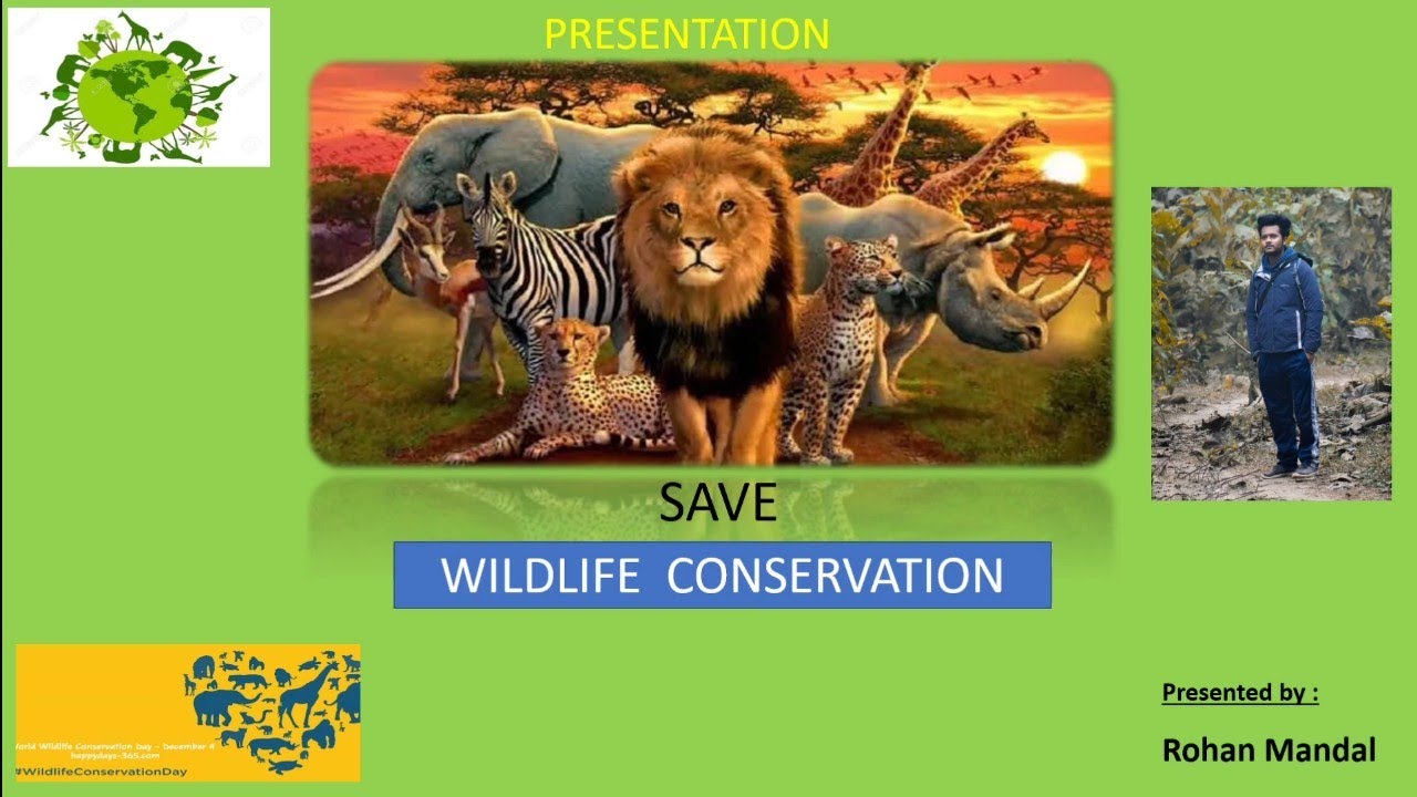 a presentation on wildlife conservation