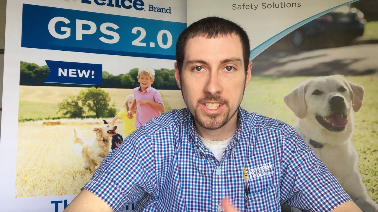 Invisible Fence Brand of Delmarva Solutions (Episode 27) Cats 1.0 YouTube