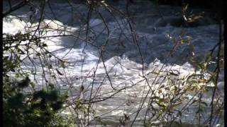 Spring in the Galilee
