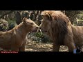 The lion king 2 2019  simba meets nala