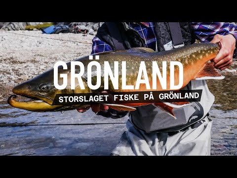 Flugfiske på Grönland