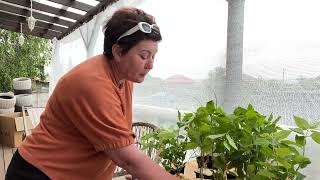 видео: Мечта уже у меня. картинка: Мечта уже у меня.