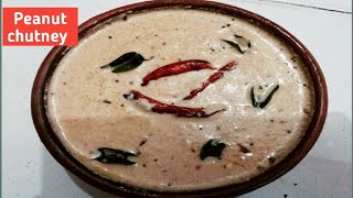 होटल जैसी मूंगफली की चटनी  रेसिपी ||Peanut Chutney Recipe || Moongfali Ki Chutney |Tasty & Delicious