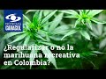 Álgido debate: ¿regularizar o no la marihuana recreativa en Colombia?