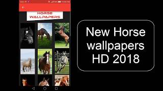 Video Horse wallpapers for free HD 2018 App screenshot 5