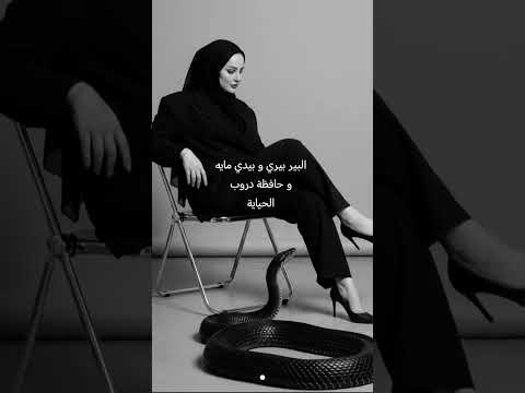 البير بيري و بيدي مايه و حافظة دروب الحياية