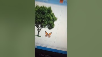 Class 4 Computer Chapter - 5 (Part-1)