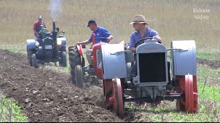 Holz- und Feldtag Niederböhmersdorf - 1/3 - die Traktoren - historic tractor rally