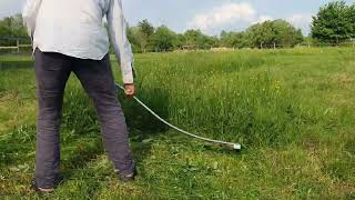 Coasa austriaca, Austrian scythe cutt grass in Romania