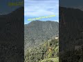 This is peak Himachal beauty #himachal #travel #viral