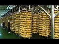 World&#39;s Most Expensive Root - Korean Ginseng Harvesting And Processing in Factory