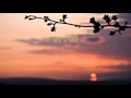折鶴 千葉 紘子【COVER】