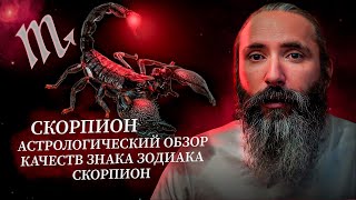 Скорпион. Астрологический обзор качеств знака зодиака Скорпион. Характеристики Скорпионов