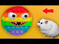 POP IT HAMSTER MAZE