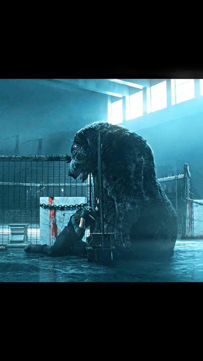 Maggie used zombies to stop the bear's attack. #movie #thewalkingdead #series