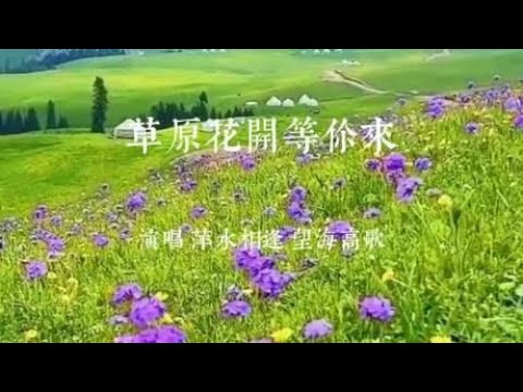 草原花开等你来 一首动听草原情歌对唱分享给你 Youtube