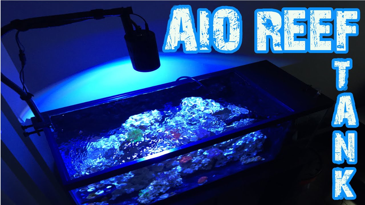 BADFISH 20 Gallon All In One Nano Reef Tank New Coral Skimmer