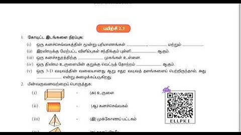 8th maths, 2.4, 3 dimensional shapes, exercise 2.3 , all sums , activities, try these, etc