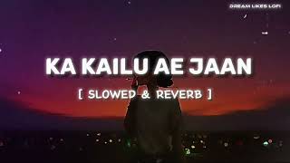 Ka Kailu Ae Jaan Slowed & Reverb | #Pawan Singh | #Anupama Yadav |  Bhojpuri Holi Sad Song