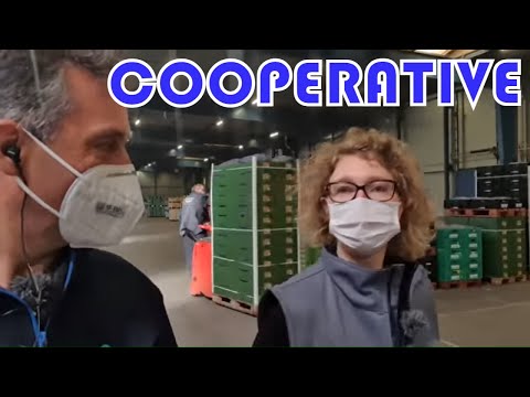 ?Visite de ma coopérative : Le Marché de Phalempin !